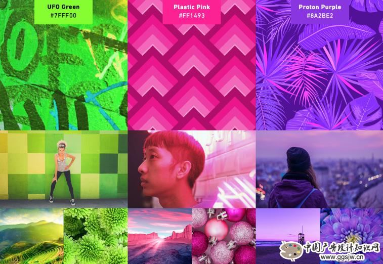 Shutterstock2019年色彩趋势：探索世界上最流行的色彩4.png