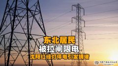 国家电网:最大可能避免出现拉闸限电情况