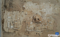 以色列南部沙漠发现约1200年前“豪宅”遗